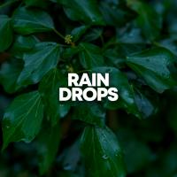 Artwork for Rain Drops by Nature Sounds Nature Music