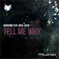 Artwork for Tell Me Why by Aurosonic