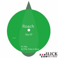 Artwork for Sky EP by Roach