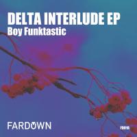 Artwork for Delta Interlude EP by Boy Funktastic