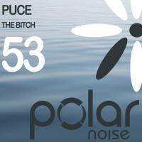 Artwork for Search The Bitch by Puce