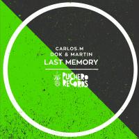 Artwork for Last Memory by Dok & Martin