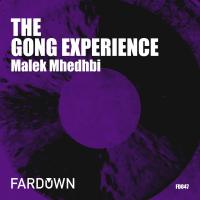 Artwork for The Gong Experience by Malek Mhedhbi