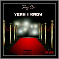 Artwork for Yeah I Know by Tiny DC