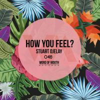 Artwork for How You Feel? by Stuart Ojelay