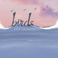 Artwork for Birds by Erik Jackson