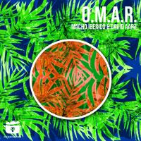 Artwork for O.M.A.R. by David Aarz