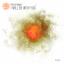 Artwork for You Will Next (Original Mix)