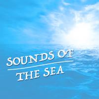 Artwork for Sounds of the Sea by Nature Sounds For Sleep and Relaxation