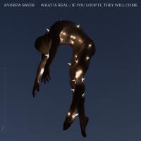 Artwork for What Is Real / If You Loop It, They Will Come by Andrew Bayer