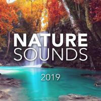 Artwork for Nature Sounds 2019 by Rain Sounds