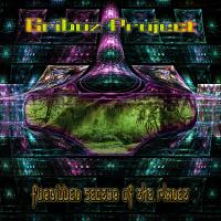 Artwork for Forbidden Sector of The Planet by Griboz Project