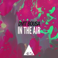 Artwork for In the Air by Dvit Bousa