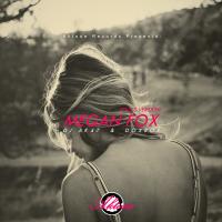 Artwork for Megan Fox (Tools Version) by DJ Ak47