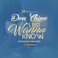 Artwork for I Just Wanna Know by Don Chino