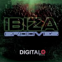 Artwork for Ibiza Grooves by Various Artists