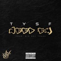 Artwork for Need Em by TYSF