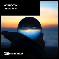 Artwork for Next Is Now by Monococ