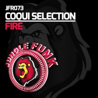 Artwork for Fire by Coqui Selection