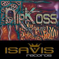 Artwork for Lotus (Soul Noise Mix) by Nipkoss