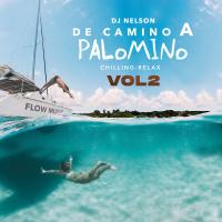 Artwork for De Camino a Palomino, Vol. 2 by DJ Nelson