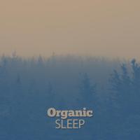 Artwork for Organic Sleep by Nature Sounds For Sleep and Relaxation