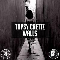 Artwork for Walls by Topsy Crettz