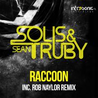 Artwork for Raccoon by Solis & Sean Truby