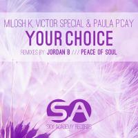 Artwork for Your Choice by Milosh K