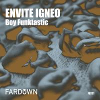 Artwork for Envite Igneo by Boy Funktastic