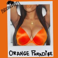 Artwork for Orange Paradise by Paradise Beta