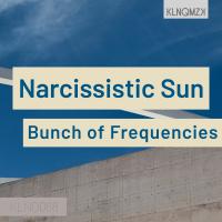 Artwork for Narcissistic Sun by Bunch of Frequencies