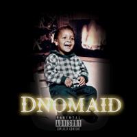 Artwork for Dnomaid by Dbar