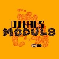 Artwork for Modul8 by DJ Haus