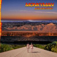 Artwork for Acid Love Story by Monkyman