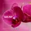Artwork for In My Head (Original Mix)