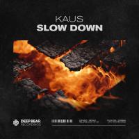 Artwork for Slow Down by Kaus