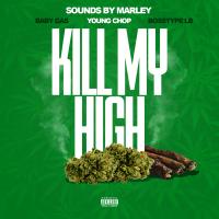 Artwork for Kill My High by Baby Gas