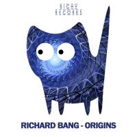 Artwork for Origins by Richard Bang