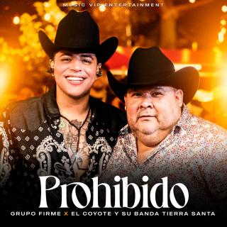 Artwork for Prohibido (En Vivo)