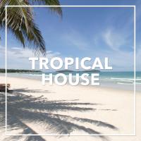 Artwork for Tropical House 2020 by Ibiza Lounge