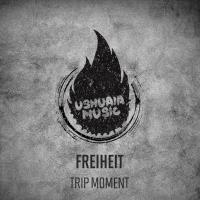 Artwork for Trip Moment by Freiheit