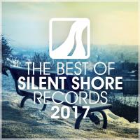 Artwork for The Best Of Silent Shore Records 2017 by Various Artists