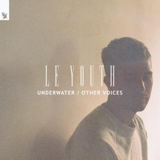 Artwork for Other Voices (Extended Mix)
