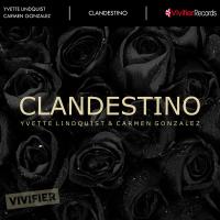 Artwork for Clandestino by Yvette Lindquist