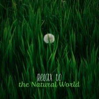 Artwork for Relax to the Natural World by Sounds of Nature Relaxation