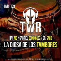 Artwork for La Diosa De Los Tambores by Ray MD