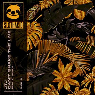 Artwork for Can't Shake The Evil (Original Mix)