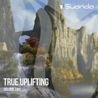 Artwork for True Uplifting, Vol. 2 by Various Artists