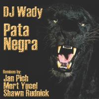 Artwork for Pata Negra by DJ Wady